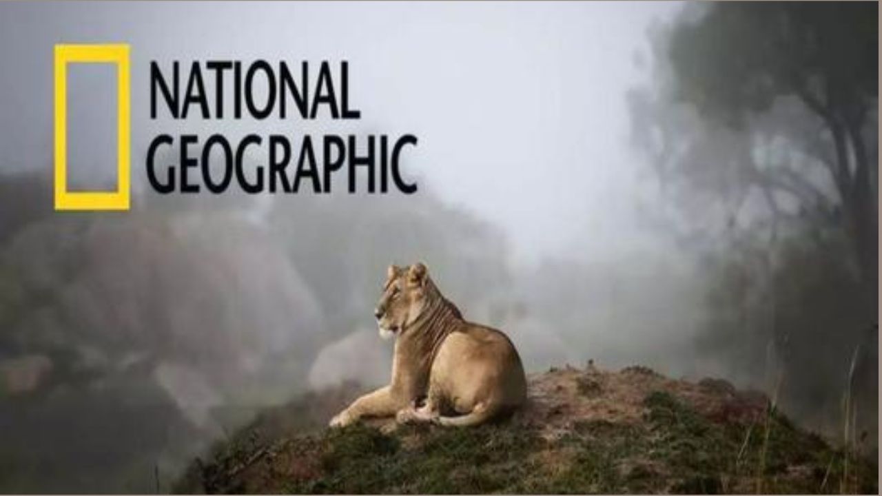 “تابع الطبيعة الخلابة”.. تردد قناة ناشيونال جيوغرافيك 2025 National Geographic على نايل وعربسات