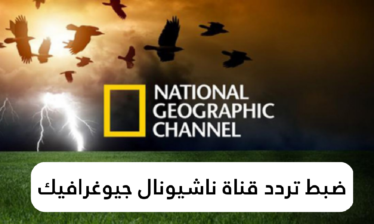 اضبطها الآن.. تردد قناة ناشيونال جيوغرافيك الجديد 2025