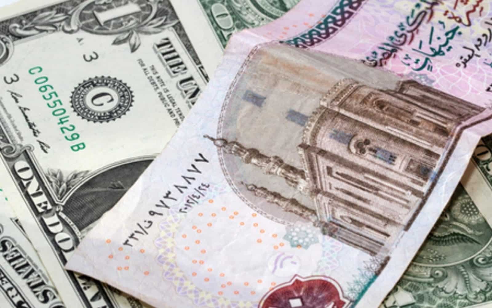 تراجع صباحي.. سعر الدولار في مصر مقابل الجنيه اليوم الجمعة 10 أكتوبر 2025 في مستهل تعاملات الصباح