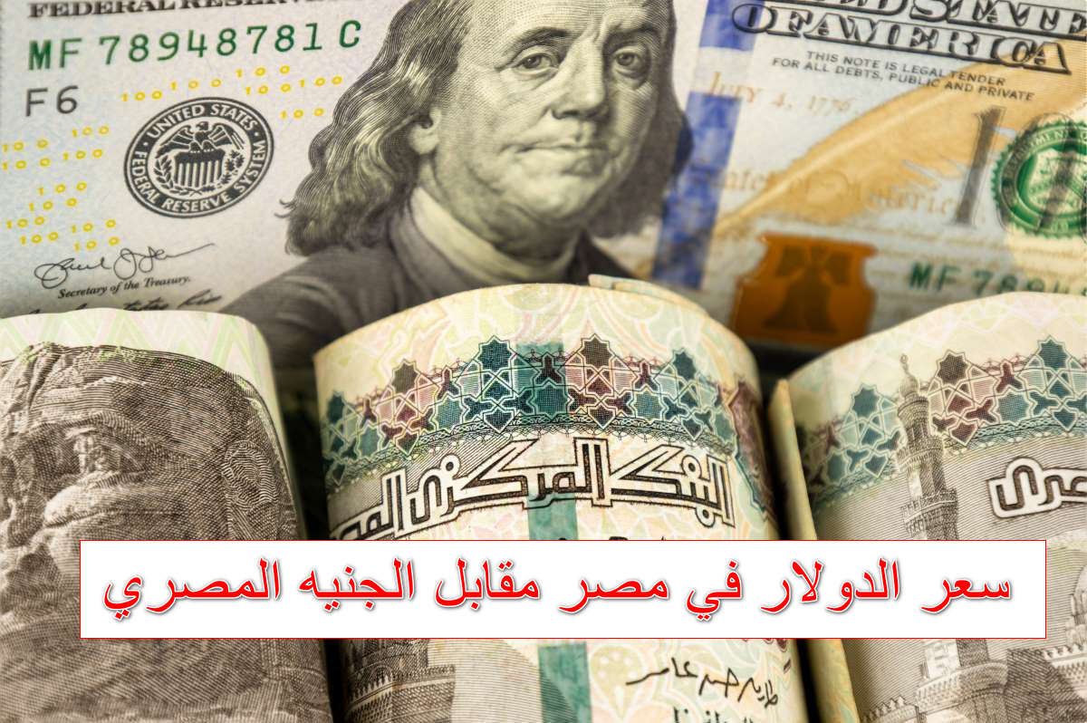 استقرار على تراجع.. سعر الدولار في مصر مقابل الجنيه اليوم الثلاثاء 21 أكتوبر 2025 شراء وبيع