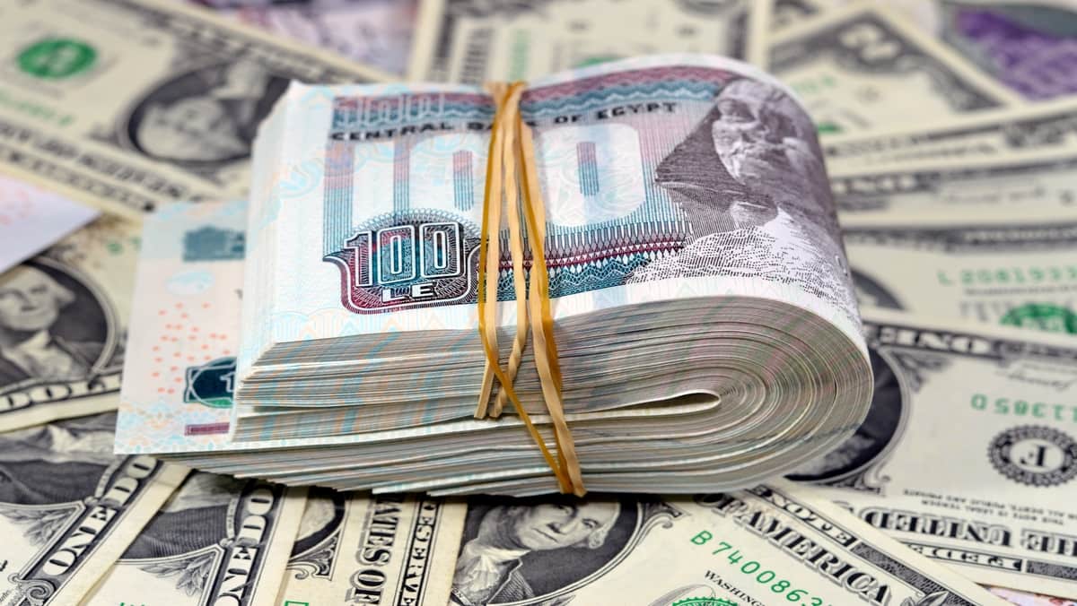 الأخضر ثابت مكانه.. سعر الدولار في مصر في تداولات الشراء والبيع اليوم الاثنين 6 أكتوبر 2025