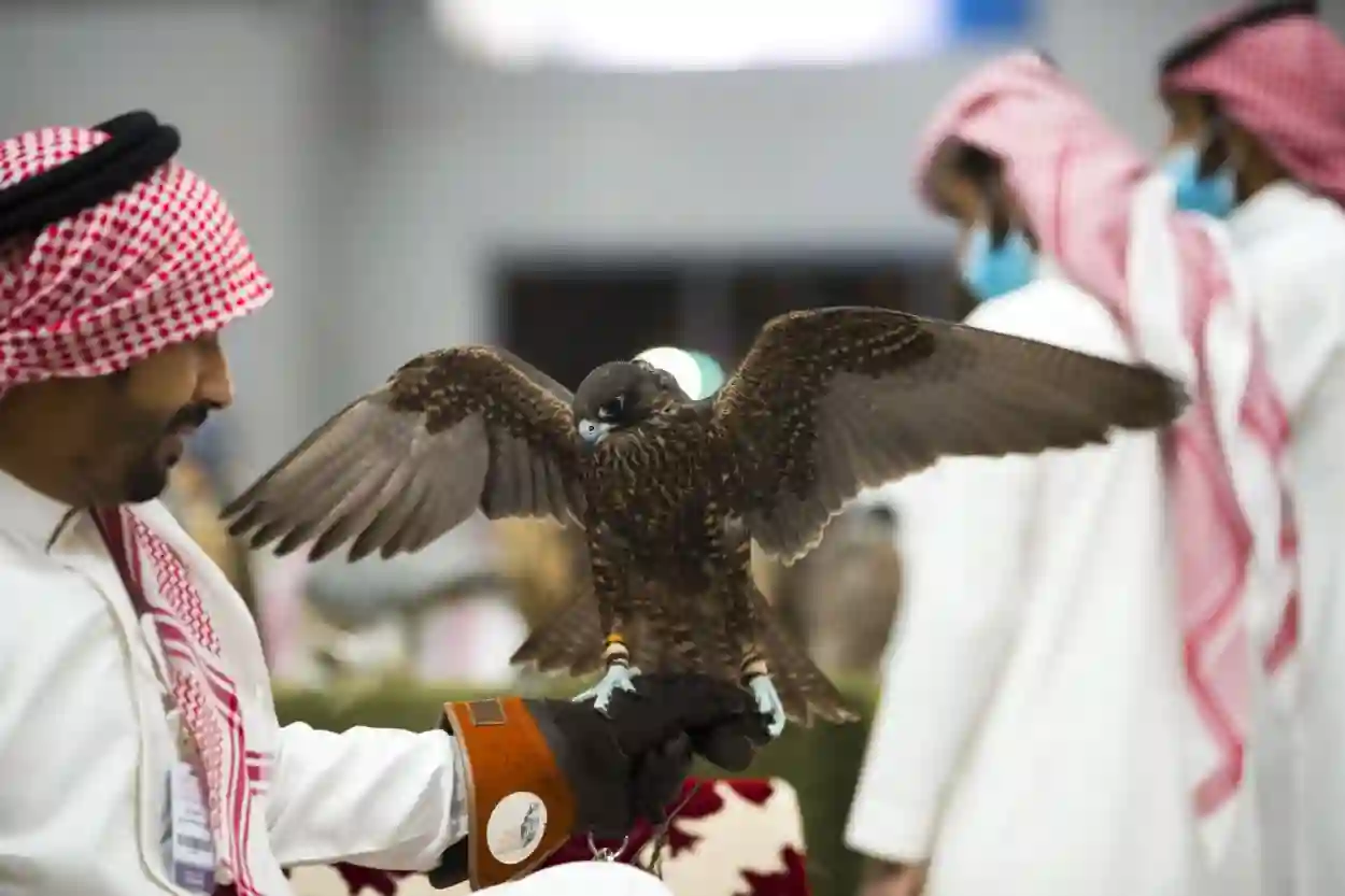 سوق الصقور في السعودية يشهد انتعاشا كبيرا ومزادات عالمية ترفع الأسعار