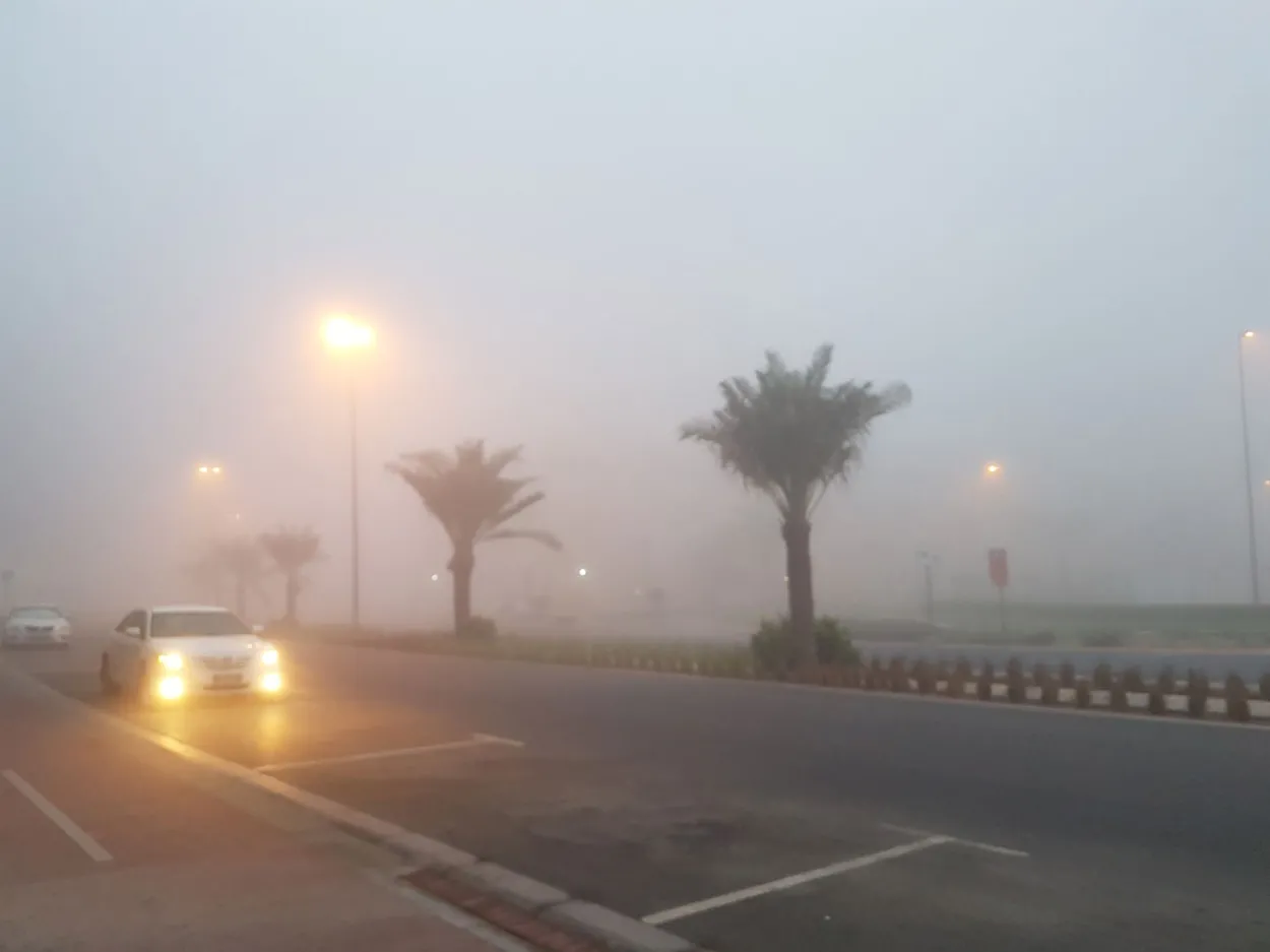 ضباب كثيف يغطي أجواء الشرقية صباح الثلاثاء وتحذيرات للسائقين بالحذر