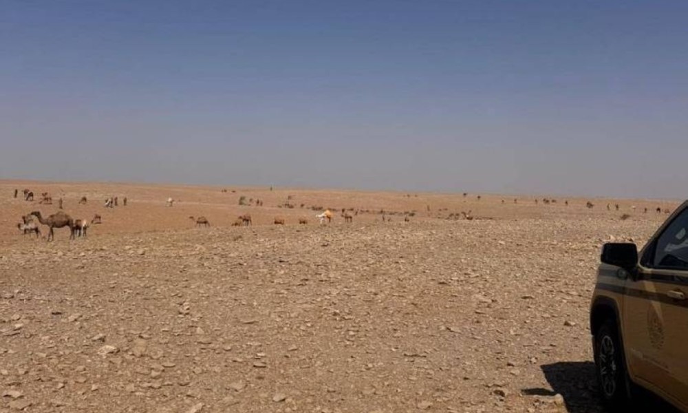 ضبط مخالفات بيئية بسبب الرعي في محمية طبيعية لحماية التنوع الحيوي