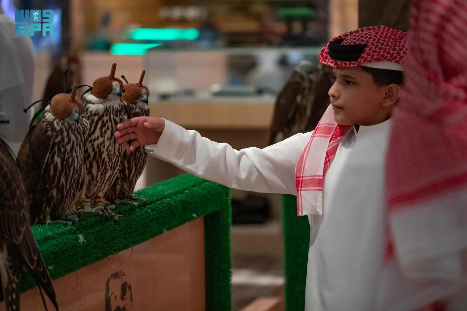 ختم جديد للزوار القادمين ضمن فعاليات معرض الصقور والصيد الدولي 2025