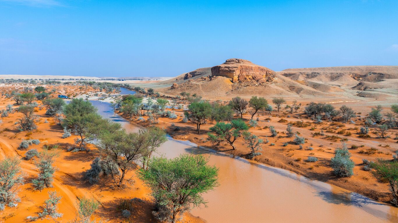 ضبط حالة صيد غير قانوني في محمية الملك عبدالعزيز والجهات المختصة تتخذ إجراءات صارمة