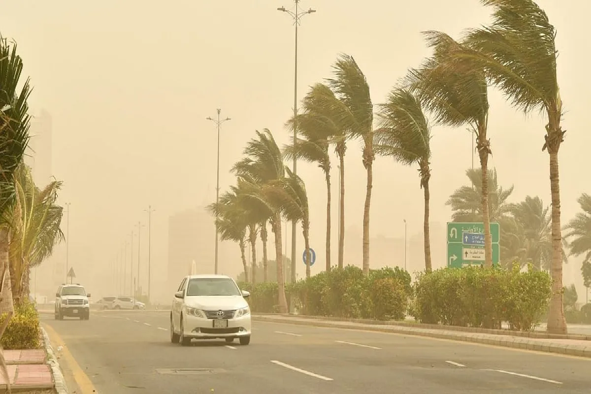 مفاجآت الطقس في السعودية تكشف عن أجواء مثالية تمتد لـ80 يومًا