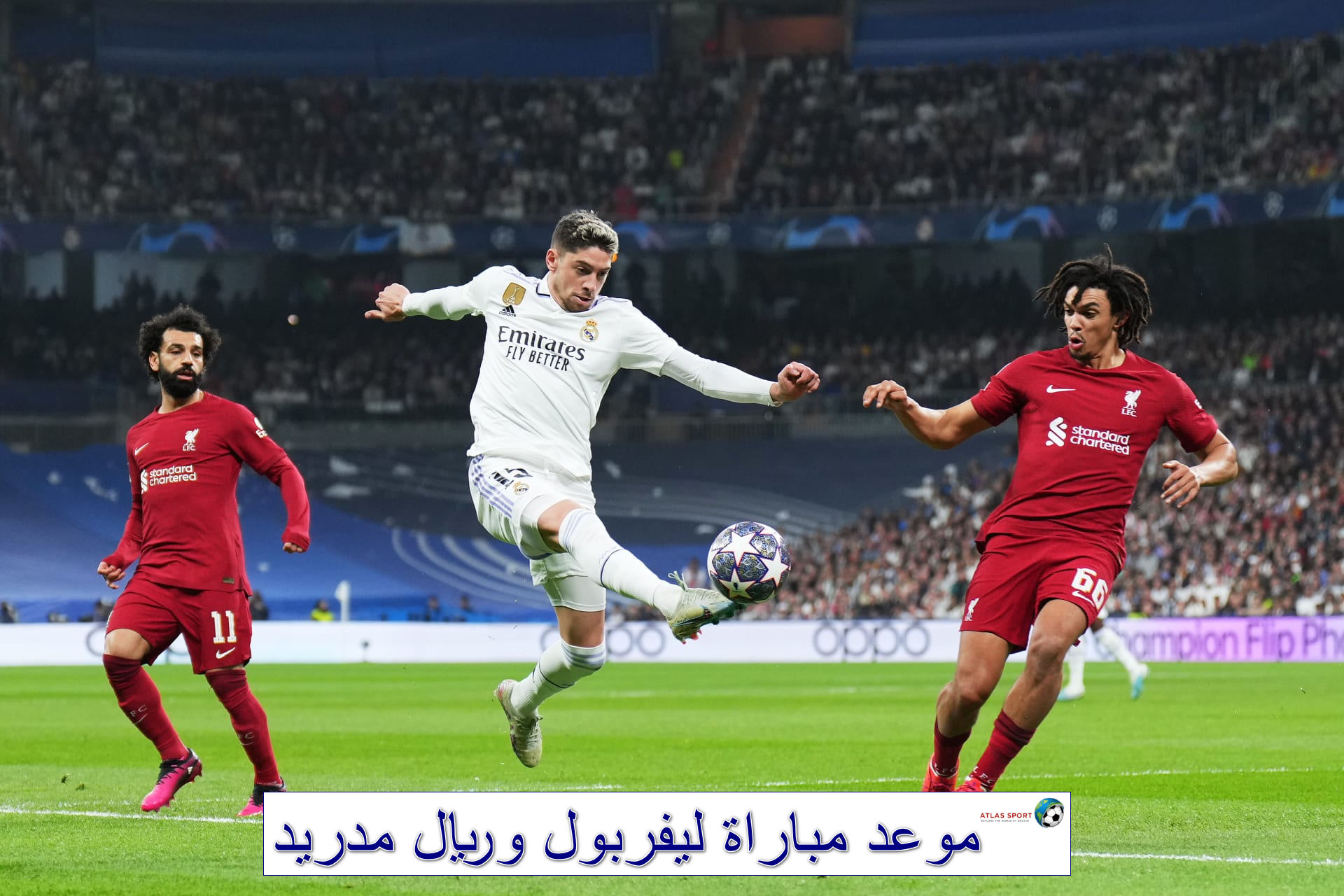 قمة قادمة.. موعد مباراة ليفربول وريال مدريد وترتيب الفريقان في دوري الأبطال