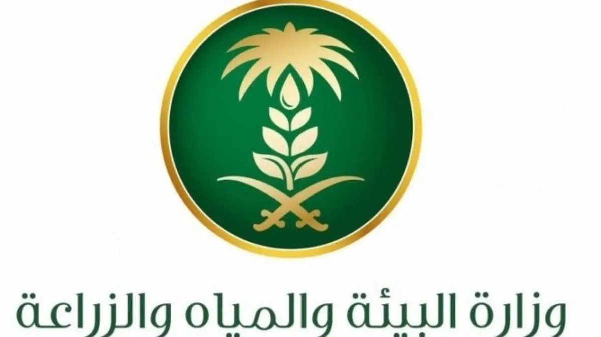 وزارة البيئة في السعودية تتيح فرصا جديدة للاستثمار بمشاريع مستدامة