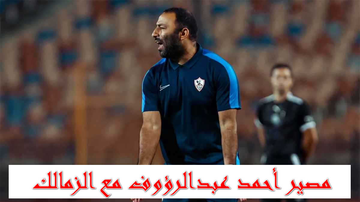 مصير أحمد عبدالرؤوف مع نادي الزمالك.. مصيره بعد ثلاث مباريات فقط